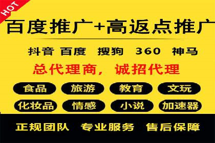 SEM托管公司案例：优化与增长